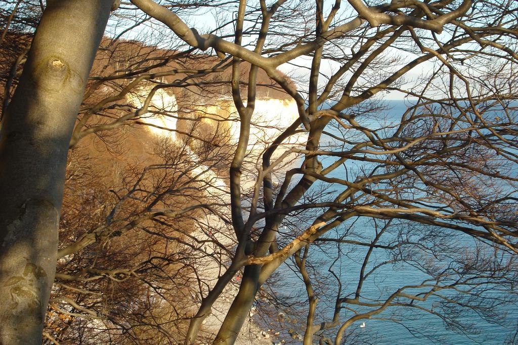 Ferienwohnung In Sassnitz Ruegen Naehe Weltnaturerbe Kreidekueste Екстер'єр фото