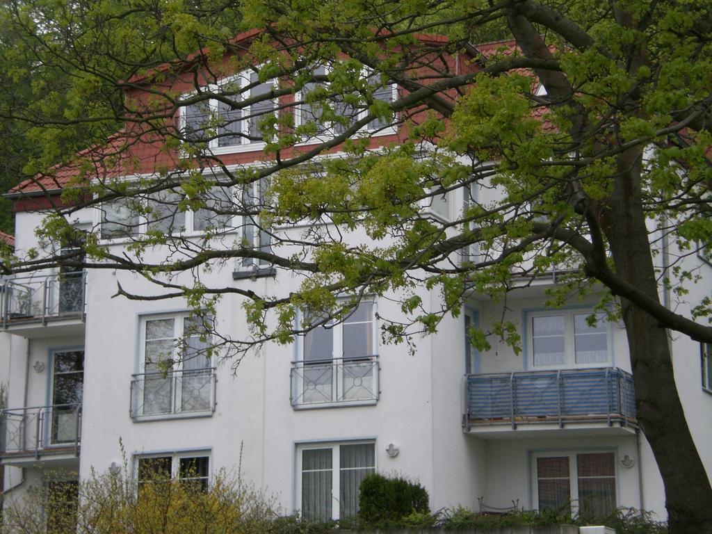 Ferienwohnung In Sassnitz Ruegen Naehe Weltnaturerbe Kreidekueste Екстер'єр фото