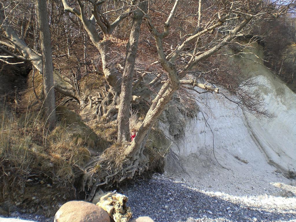 Ferienwohnung In Sassnitz Ruegen Naehe Weltnaturerbe Kreidekueste Екстер'єр фото