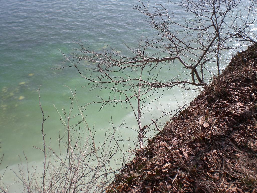 Ferienwohnung In Sassnitz Ruegen Naehe Weltnaturerbe Kreidekueste Екстер'єр фото