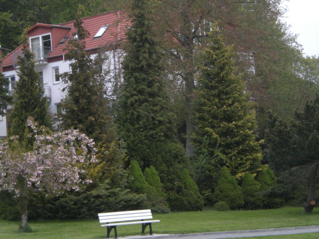 Ferienwohnung In Sassnitz Ruegen Naehe Weltnaturerbe Kreidekueste Екстер'єр фото