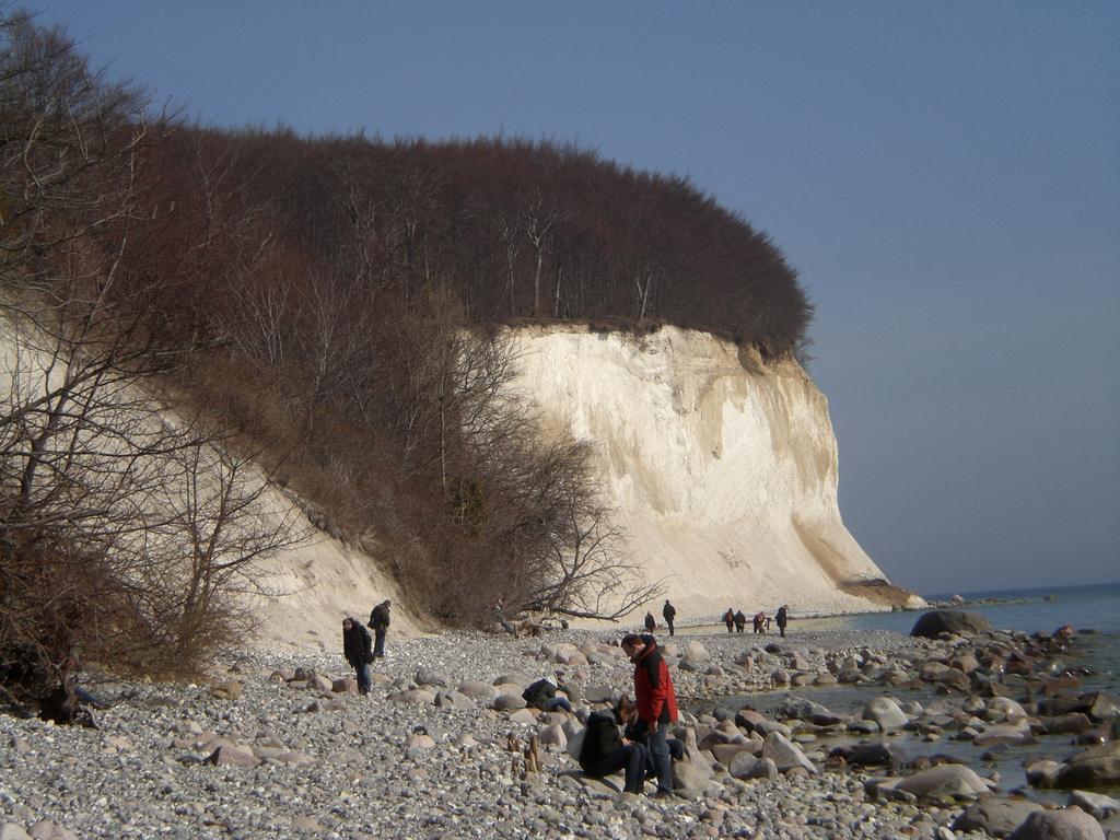 Ferienwohnung In Sassnitz Ruegen Naehe Weltnaturerbe Kreidekueste Екстер'єр фото