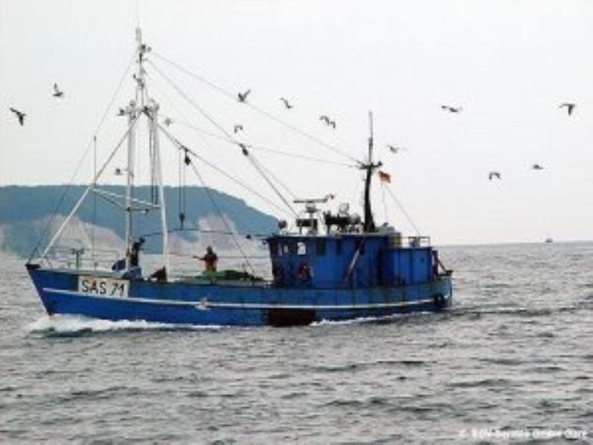 Ferienwohnung In Sassnitz Ruegen Naehe Weltnaturerbe Kreidekueste Екстер'єр фото